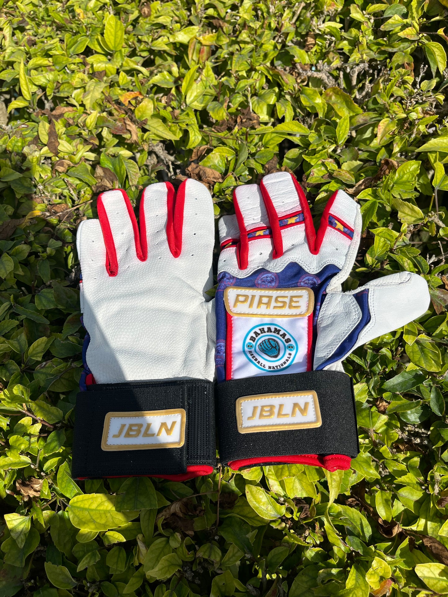 JBLN Batting Gloves