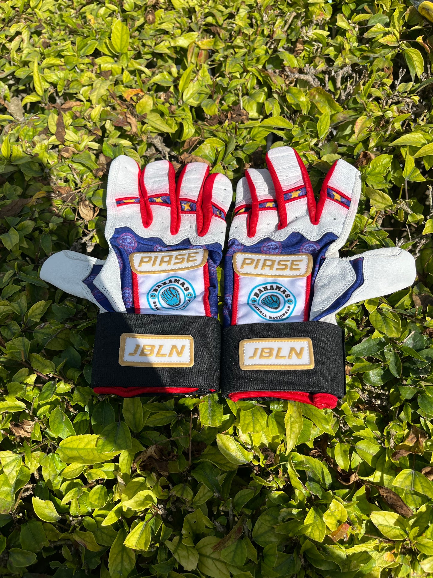 JBLN Batting Gloves